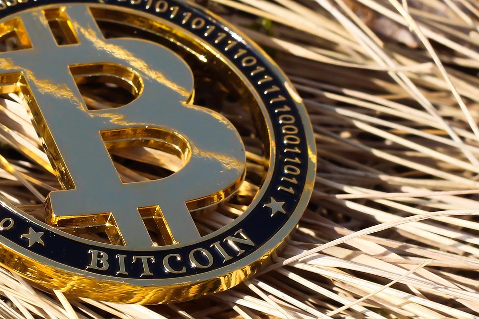 DWF Labs投资川普加密货币WLFI！支持机构级稳定币USD1